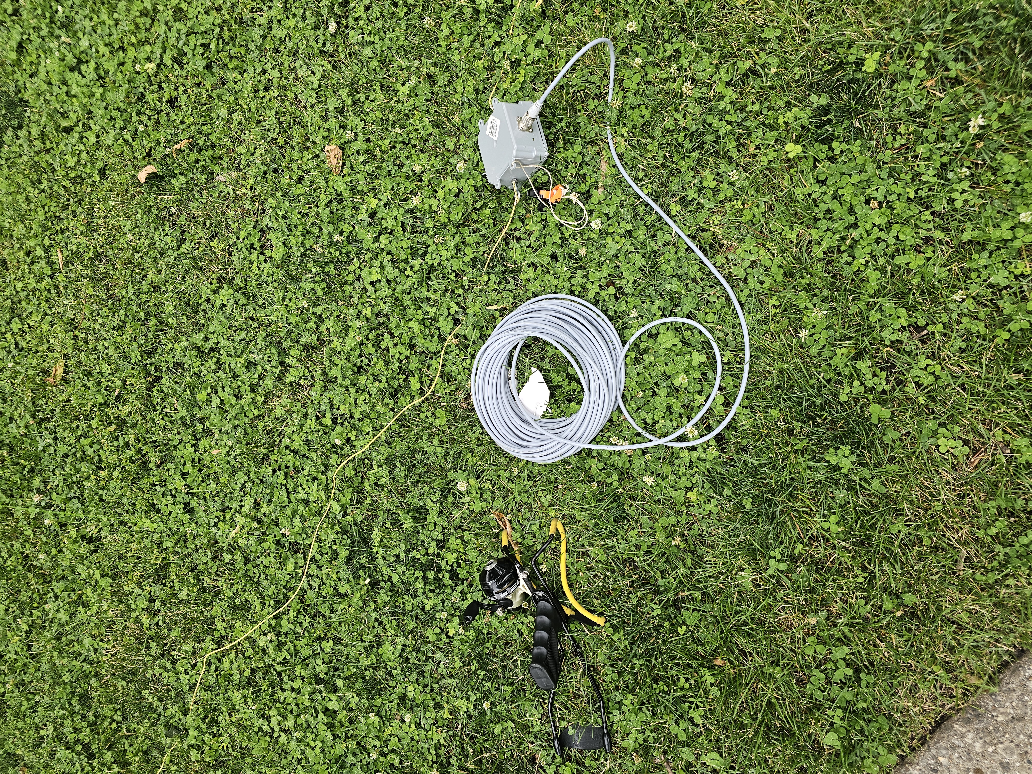 field day image